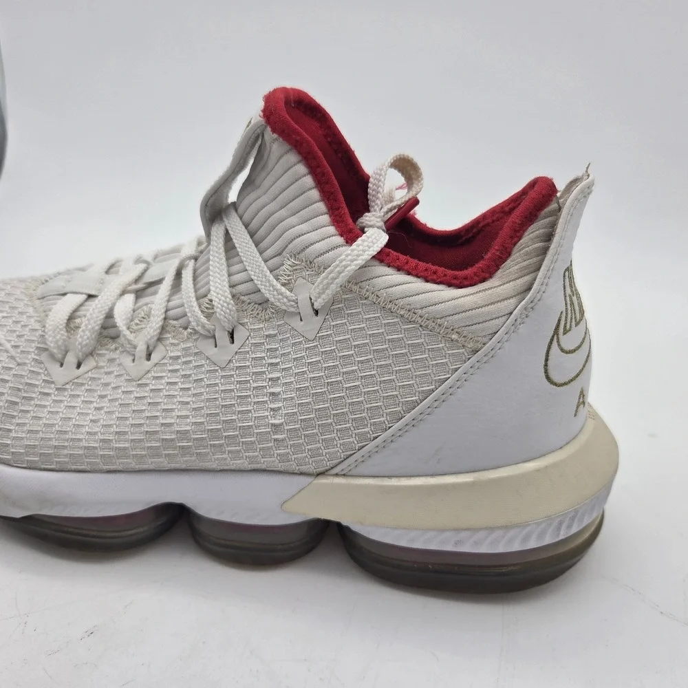 Nike lebron james
